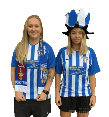 DMZWeinstadt Sticker