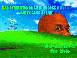Kajmak Greengangboljiodblancoss GIF