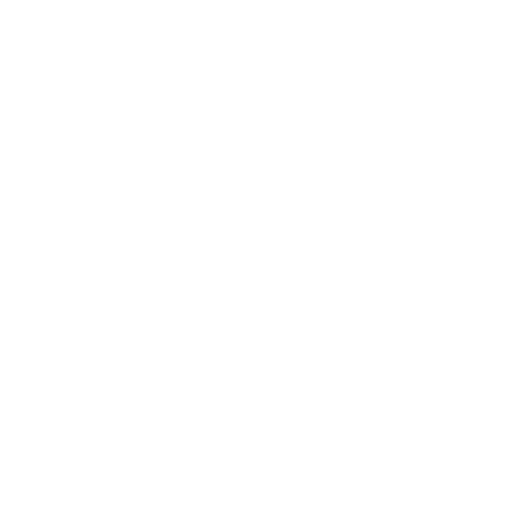 Skallywag Media Sticker