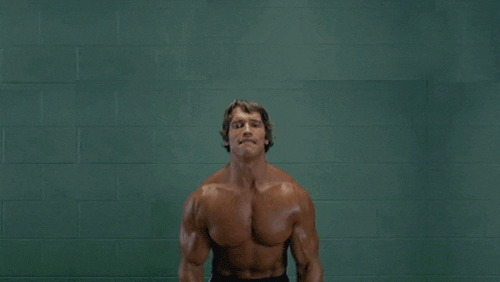 Working It Arnold Schwarzenegger GIF - Find & Share on GIPHY