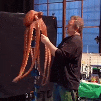 puppet tentacles GIF by OctoNation® The Largest Octopus Fan Club!