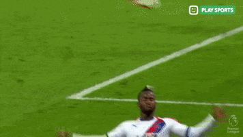 Happy Crystal Palace GIF by Play Sports