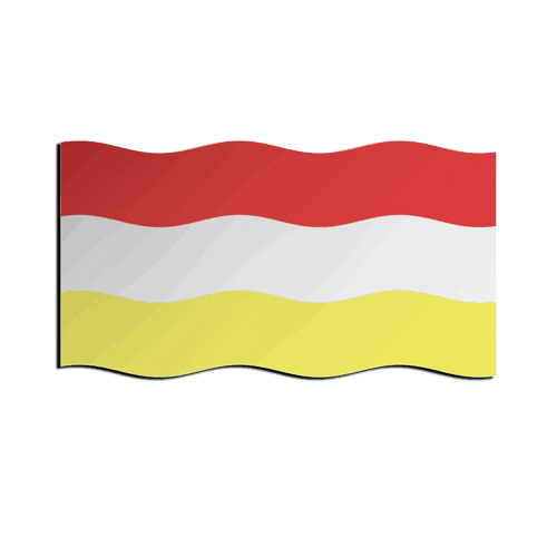 Den Bosch Carnaval Sticker by Gemeente 's-Hertogenbosch