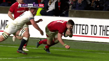 randy orton england GIF by Guinness Six Nations
