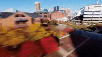 Maryland GIF by 50statesproject