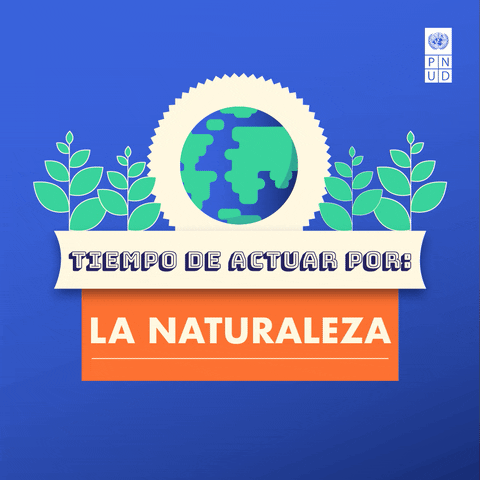 Save The Earth GIF by UN Development Programme