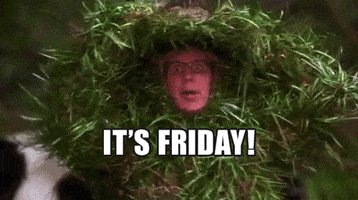 Drunk Its Friday GIF