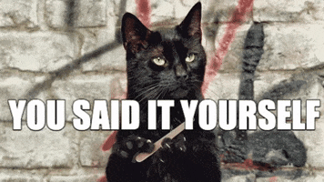 Said It Yourself Cat GIF