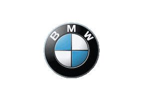 Sport Driving Sticker