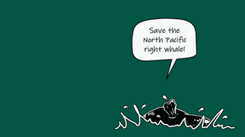 Save the North Pacific Right Whale GIF