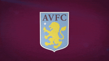 premier league football GIF by Aston Villa FC