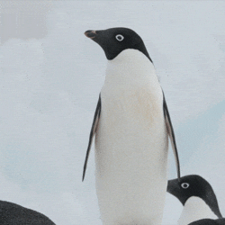 surprise wow GIF by OceanX