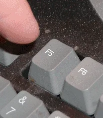 giphy.webp?cid=ecf05e475f73faab87695232b