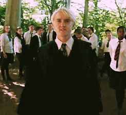 Draco Malfoy Hp GIF - Find & Share on GIPHY