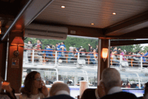 neutonmartinscosta  GIF