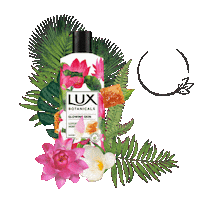 Honey Lotus Sticker by LUX South Africa