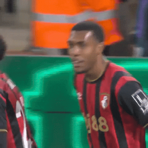 Happy Premier League GIF by AFC Bournemouth