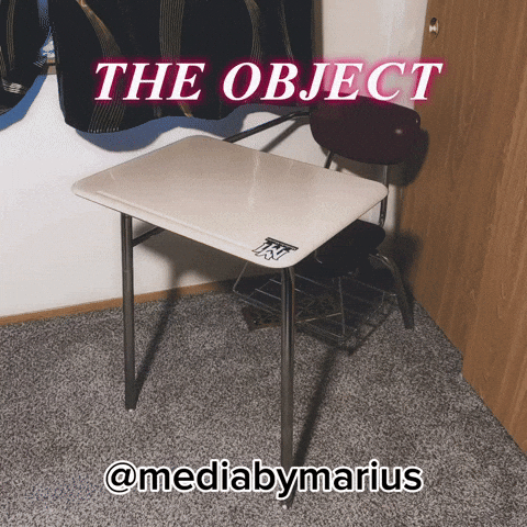 The Object GIF
