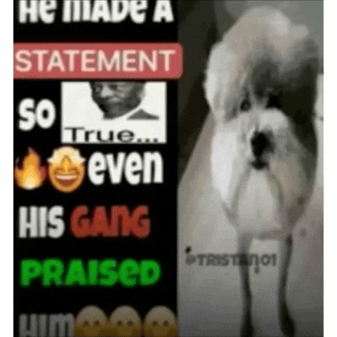 He Made A Statement GIF