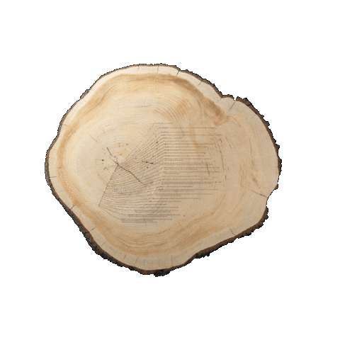 Womens Rights Art Sticker