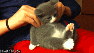Meh: Favorite massage to receive: Meh: Favorite massage to receive: