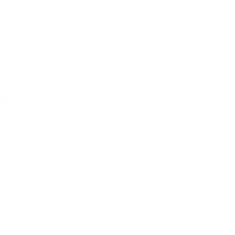 Walking Sticker by Welcome to Yorkshire