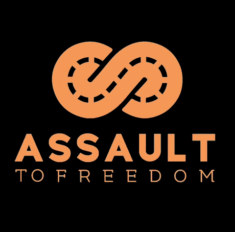 assaultofreedom assault atf assault to freedom assaultofreedom GIF