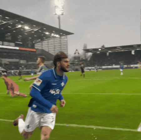 Sv Darmstadt 98 GIF