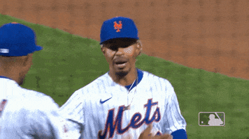 Ny Mets Hug GIF by New York Mets