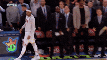 New York Knicks Basketball GIF by NBA