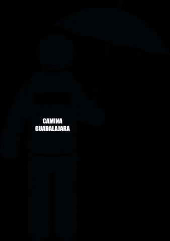 CaminaGDL GIF