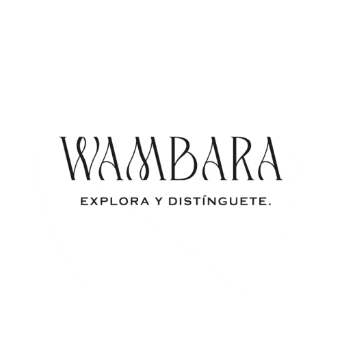 Agencia Lab Nave Sticker by Wambara