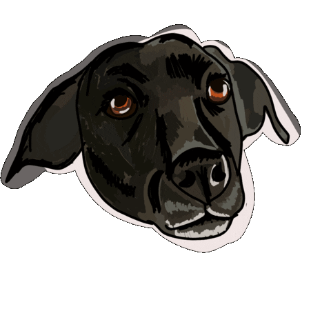 Black Lab Dog Sticker