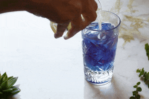 Lemonade GIF
