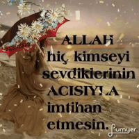 200.gif?cid=fc005b08096de22aa9acc404eb4e1023633b6f9f012905c4&rid=200.gif&ct=g