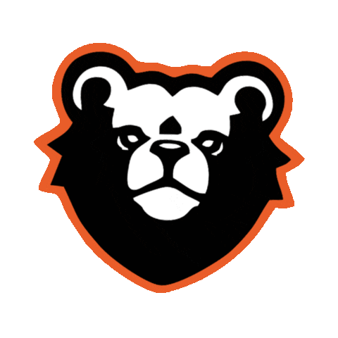 DWS Decals Sticker