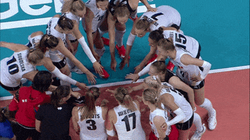 Lets Go Yes GIF by Volleyball World