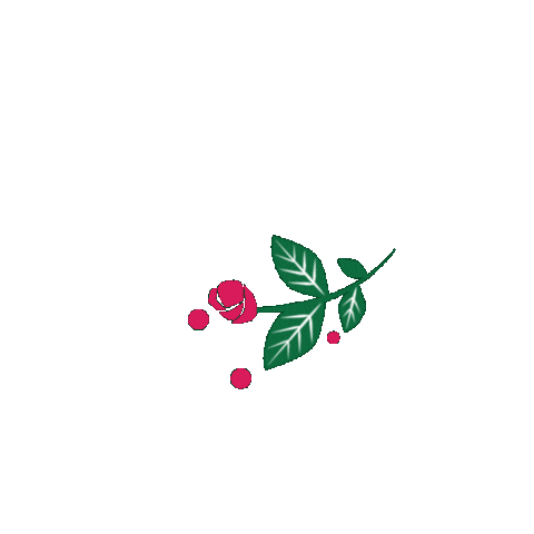 my_looki Sticker