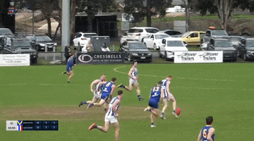 Sebastopol GIF