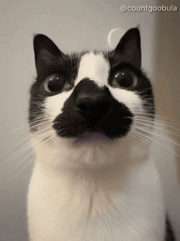 I Love You Kiss GIF