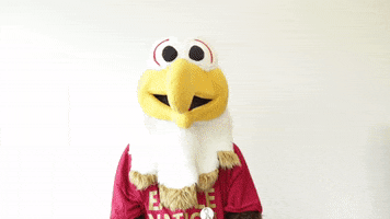 Scared Oh No GIF by Bridgewater College