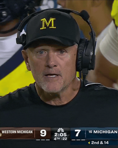 Michigan Wolverines GIF