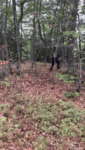 Bruhmatty GIF