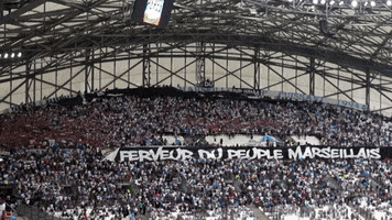 Orange Velodrome Supporters GIF by Olympique de Marseille