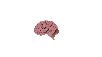 Yafue Sticker