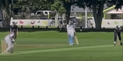 6Wicketover GIF