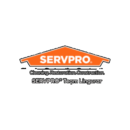 SERVPRO Team Lingurar Sticker