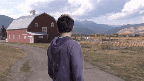giphy.gif?cid=4d1e4f2970c843284d92d5593a
