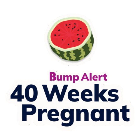 Pregnancy Expecting Sticker by The Bump