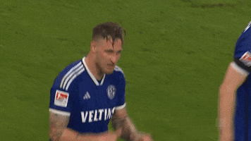 Game Day Win GIF by FC Schalke 04